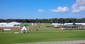 Una panoramica dell'ippodromo di San Rossore (Pisa) dove si è svolto il Toscana Endurance Lifestyle 2015. 