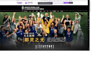 Una immagine dello screenshot della pagina creata per sviluppare e-commerce in Cina